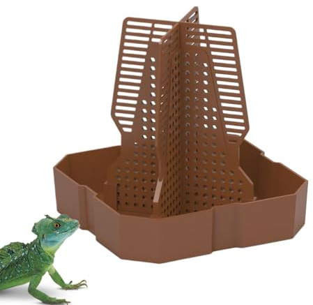 Dragon Food Bowl a barba, di cibo per rettili, Alimentatore clinico per piccoli animali con scala, Ciotole da alimentazione in terrario per lucertole, rane, gechi, con scala di climBali