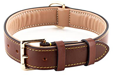 Brute Strength – Hundhalsband i läder – Brun – XL · 56–63 cm