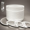 BAGZY Ruban LED Exterieur Etanche 15M Blanc de Bandeau LED 220V Néon Bande Eclairage Lumineuse IP65 de Flexible Imperméable Découpable Intérieure Inclus Adaptateur Secteur pour Chambre Cuisine