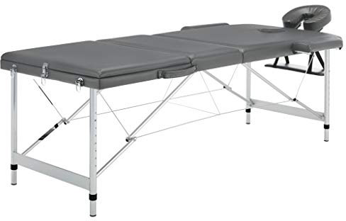 ShGaxin Camilla Masaje 3 Zonas Estructura Aluminio Antracita 186x68 cm, Apoyabrazos Tattoo, Camilla Tattoo, Camilla Estetica, Camilla De Espalda, Cama De Masaje, Mesa De Masaje - SPU:110175