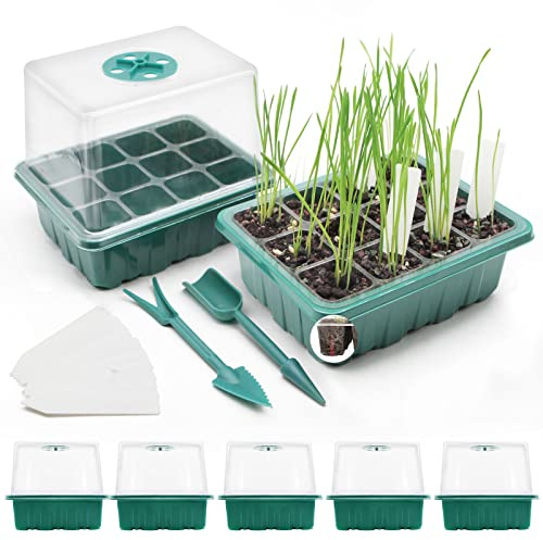 MQFORU Vassoio Germinazione,5 Pezzi 60 Celle Semenzaio per Piantine Mini Serra Propagatore per Piantine, Vassoio Coltivazione con Finestra Regolabile per Semi di Piante in Serra