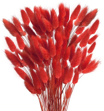 HUAESIN 120PCS Fiori Secchi Coda di Coniglio Erba della Pampas Naturali Bouquet Fiori di Pampas Erba Coda di Coniglio Rosso Pampas Decorative Secche per Casa Tavolo Festa