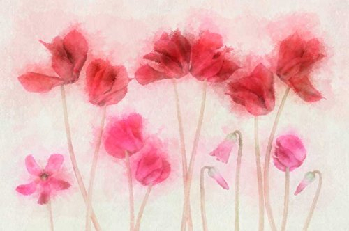 Bild auf gerollter Leinwand, Alpenveilchen-Familie, Aquarell, Niele Cora, horizontal, Kunstdruck, modern, mit Blumenmuster, 33 x 51 cm