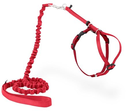 Harnais et Laisse élastique Come with Me Kitty par PetSafe