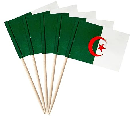 stidsds 100pcs Drapeau National Cure-Dent C (Algérie)