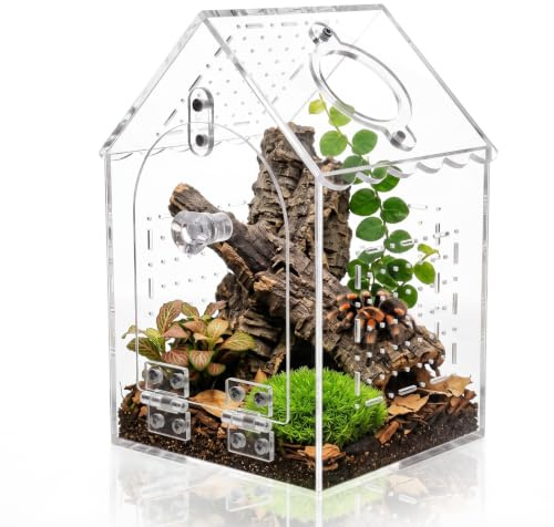 360° Terrario Reptiles con Abertura de Alimentación, en Forma de Casa