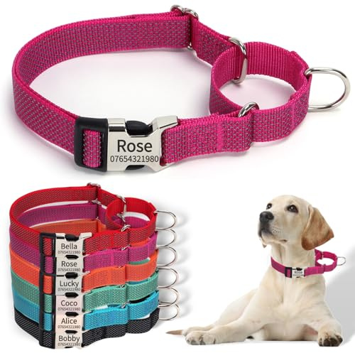 SEOUGEE Martingale hundhalsband personligt, reflekterande nylon, flyktsäker, anti-drag hundhalsband med anpassat graverat metallspänne, promenadträning dagligen för medelstora hundar (M rosenröd, 40