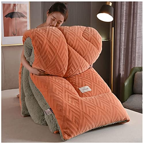 GOFOHIMI Edredón Algodón Invierno, Terciopelo De Cordero De Grueso Cálido Edredón De Invierno, Nórdico Núcleo De ​Microfibra Terciopelo y Borreguito, Reversible Cálido Manta,C,150x200cm/2.5kg