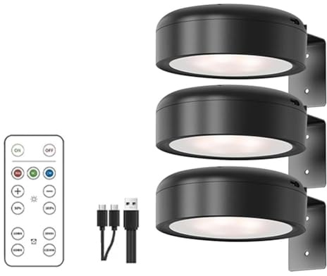 JUCHRZEY Bildljus med fjärrkontroll, bildbelysning trådlöst med 13 ljuslägen, magnetisk LED -laddningsbar målningsljus med timer, konstljus för målning, bildramar