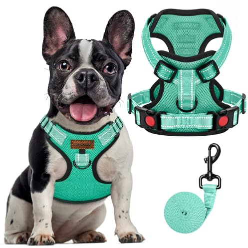FAYOGOO Adjustable No Pull Dog Harness Set Front Clip Reflective for Small Medium Dogs UK Training Service Border Collie Bulldog Control Buckles