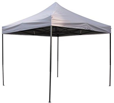 All Seasons Gazebos Tonnelle 3 x 3 m très résistante entièrement étanche avec kit d'accessoires – Gris métallisé