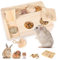 Bogoro Hamster Spielzeug aus Holz, Meerschweinchen futtersuche Spielzeug, 6 In 1 Holzspielzeug Zur Futtersuche, Hamster Accessory Set, Hamster Holzspielzeug, für Kaninchen Hamster Chinchillas