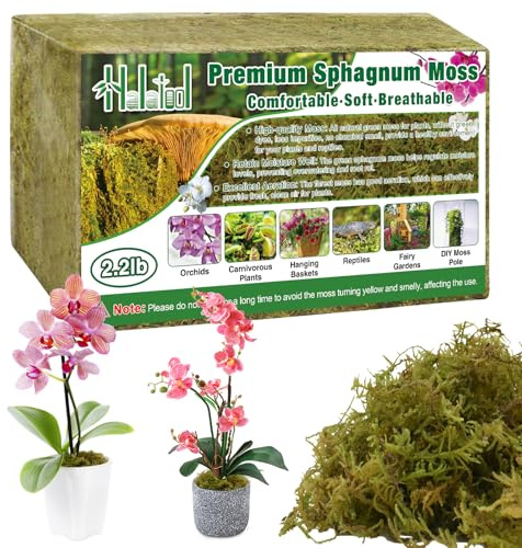 Halatool Terreau pour orchidées (1000 g)
