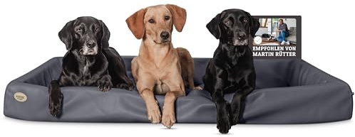 SABRO KUDDE Orthopädisches Hundebett – Martin Rütter – Hochwertiges Kunstleder – Waschbar & Wasserabweisend – Ergonomisch – Premium Haustierzubehör für Grosse Hunde XXL in Grau