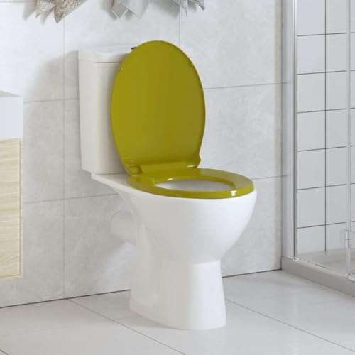 Sophrelle Tapa y Asiento de váter con Cierre Suave Ovalada Verde Verde,145824