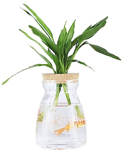 MMIAOO Mini Vase Glasfläschchen Kleine,Tischvasen Dekoflaschen - Hydroponik Hängevase,Glasvase Blumenvase,Hochzeit Party Deko Flasche frühlingsdeko Glas klar (Diamant 10 * 10cm)