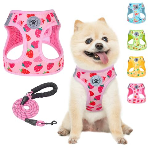 BEAUTYZOO Juego de arnés y correa para perros, arnés reflectante para perros sin tirones ni estrangulamiento, arnés para cachorros para perros pequeños, medianos y grandes, gatos, arnés de malla
