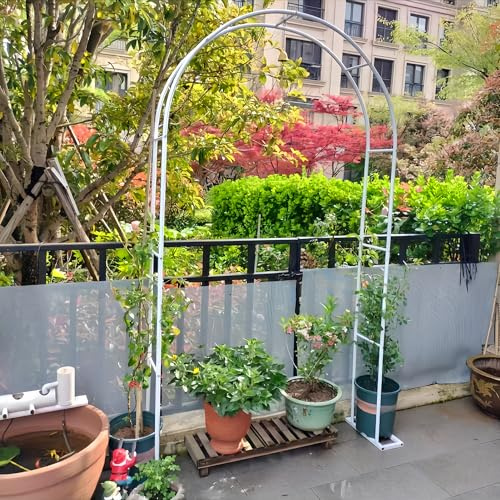 Romántico pabellón de jardín con arco de rosas para plantas trepadoras y verduras (blanco, 2,3 x 2,5 m)