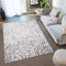 TAPISO Valley Teppich Kurzflor Grau Beige Schwarz Zebra Tiermuster Meliert Verwischt Abstrakt Modern Wohnzimmer Schlafzimmer ÖKO-TEX 300 x 400 cm