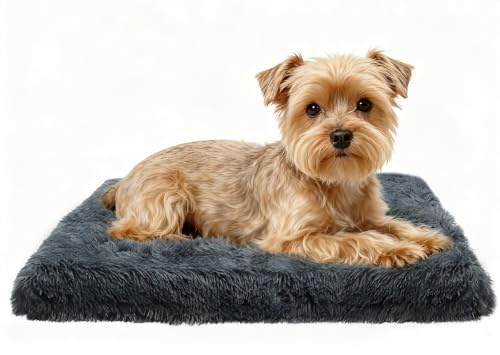 DONWEI Small Dog Bed, Washable Dog Crate Mattress, Dog Cushion with Anti-Slip Bottom Pet Beds for Dogs, 50x40x5cm, Dark Grey