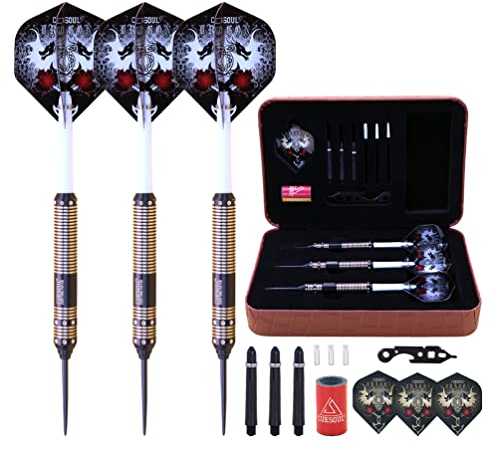 CUESOUL 23 Gramm Stahlspitze Darts mit Deluxe PU Darts Fall - Dragon Series 008