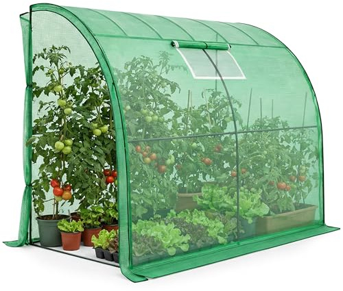 AKORD Serre Adossée de Jardin avec Châssis en Acier et Film PE Universelle, 1 Porte et 1 Fenêtre, 100x200x210 cm, Vert
