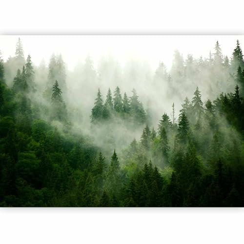 murando - Photo Wallpaper Forest Fog 350x256 cm - Wall Mural Deco Premium Non-woven Art Print Wallpaper for Living Room - Home Decoration Bedroom Kitchen Wall Paper - Nature Landscape c-B-0533-a-b