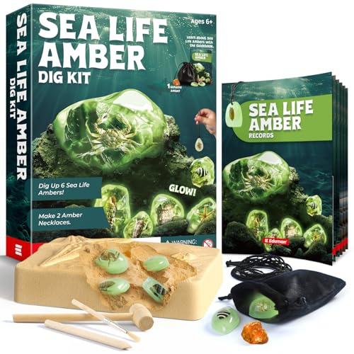 EDUMAN Amber Dig Kit-6 esemplari artificiali in resina di vita marina, set di scavi fossili che si illuminano al buio, giocattolo educativo ispirato allo STEM, per bambini dai 6 ai 12 anni, regalo
