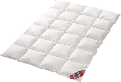 Schäfer Ganzjahres Daunenbett Daunendecke Kassettenstegbett canadische Daune 100% Natur Wärmegrad 3