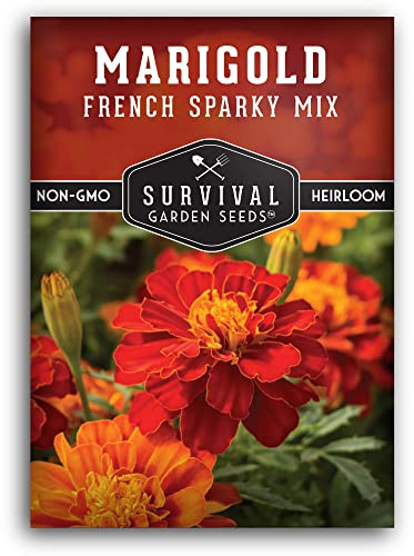 French Sparky Marigold Seeds for Planting - Plant & Grow Red & Orange Patula Flowers in Your Home Vegetable Garden - Heirloom Non GMO - Survival Garden Seeds (1 Pack)
