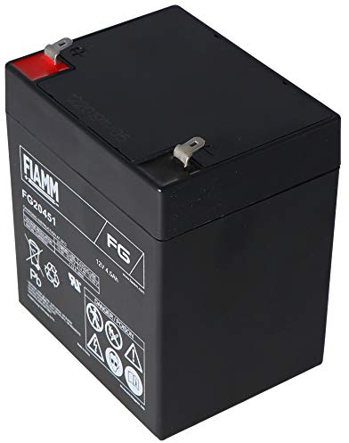 Fiamm FG20451 blybatteri 12 Volt, 4 500 mAh