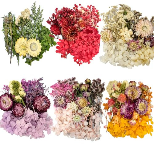 CoolCrafts 6 Color Themes Natural Dried Flowers Small Real Dry Flower for Resin, Soap Making, Greeting Cards, Craft Projects