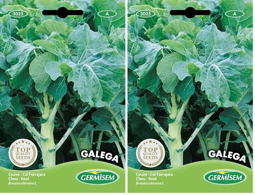 Germisem Galega Semillas de Col 5 g (EC3025) (Paquete de 2)