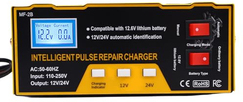 Eujgoov Cargador de Batería para Automóvil, 12V 10A 24V 7.5A 180W Mantenedor de Batería Inteligente Automático con Múltiples Protecciones de Seguridad, para Motocicleta, Automóvil, SUV, (Enchufe de