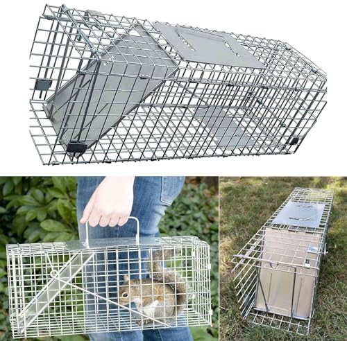 Groß 61x19x21cm Katzenfalle Marderfalle Kaninchenfalle Lebendfalle, Tierfreundliche Hygenische Mausefalle Rattenfalle Lebend, Wiederverwendbare Wühlmausfalle, Nagetiere mit Schnellverschluss