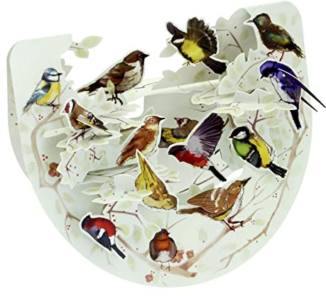 SANTORO Popnrock, 3D Pop Up Greeting Card - Garden Birds - For Her, For Him, Birthday, Anniversary