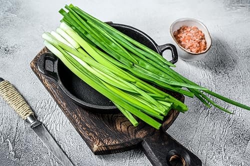 Sachet de graines de Ciboulette de Chine - Sachet de 1 gramme - Graines de style