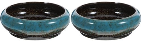 Toddmomy 2pièces Pot De Céramique Hydroponique Pot Créatif pour Et Décoration Intérieure Couleur Bleue pour Jardin Bureau