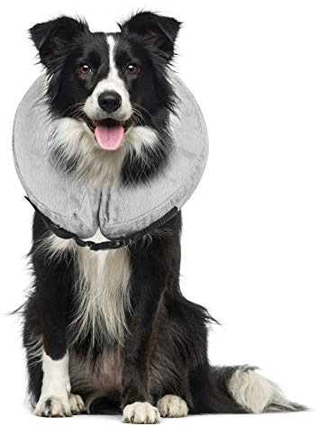 Cuello protector hinchable para perros y gatos. De tacto suave y con hebilla ajustable. Ideal para la recuperación tras una cirugía, o para curar heridas. No bloquea la visión