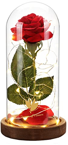 Valentines Day Gifts for Her,Beauty and The Beast Rose in Glass Dome,Lasts Forever Red Rose with LED Lights,Gifts for Women,Mom,Wife,Anniversary,Birthday, Wedding Home Decor