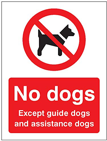 No Dogs Allowed - Self Adhesive Vinyl Sign