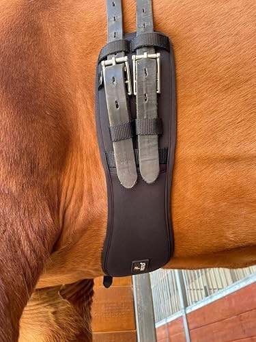Preto Sangle de dressage anatomique en mousse à mémoire de forme synthétique avec extrémités élastiques, sangle de selle de cheval anti-frottement et anti-galles avec rembourrage confortable,