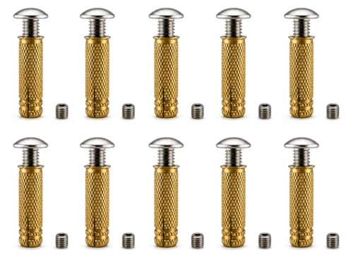 FERPASA® - Vite per piscina, confezione da 10, vite e tappo in acciaio inox + tassello in ottone espansivo, sistema di ancoraggio per telone e copertura della piscina