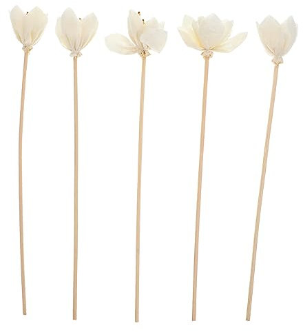 Holibanna 5Piezas Difusor de Flores Accesorios para para Hogar Cocina y Oficina