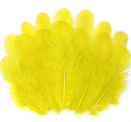 Soarer Yellow Craft Feathers Bulk for Crafting Supplies,300Pcs,3-5inch | Natural Rooster Feathers for DIY School Crafts,Dream Catcher,Halloween,Easter,Mardi Gras and Thanksgiving Home Party Decor