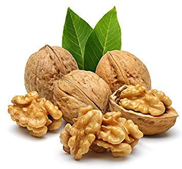 3 pz/boursa semi di noce sempreverde Organico non-ogm delizioso frutto dado albero in vaso pianta nutritiva per la decorazione del giardino