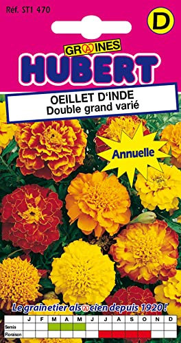 Graines d'Oeillet d'Inde Double grand varié - 1,5 grammes