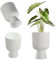 KADAX Macetero en forma de cáliz, maceta de plástico en 2 tamaños, maceta en 3 colores para balcón, terraza, alféizar de ventana, copa (18 cm, blanco)..