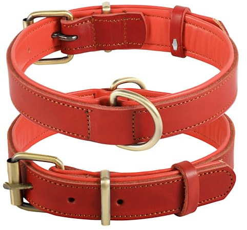 Collar de Cuero Genuino para Perro, Varios tamaños y Colores, Resistente, cómodo, Acolchado Interior Suave con diseño de Color en Contraste, Cinco tamaños Diferentes de 25 a 57 cm