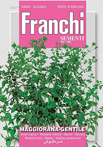 SEMI DI MAGGIORANA GENTILE ORTO GIARDINO